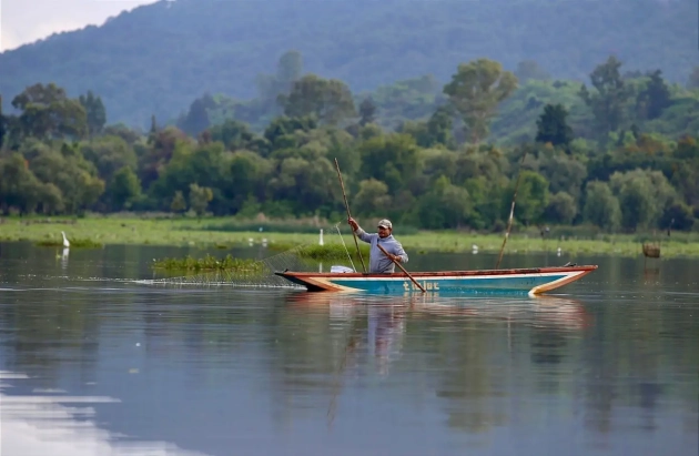 Recuperadas en un año 334 hectáreas de superficie del lago de Pátzcuaro: GEM 